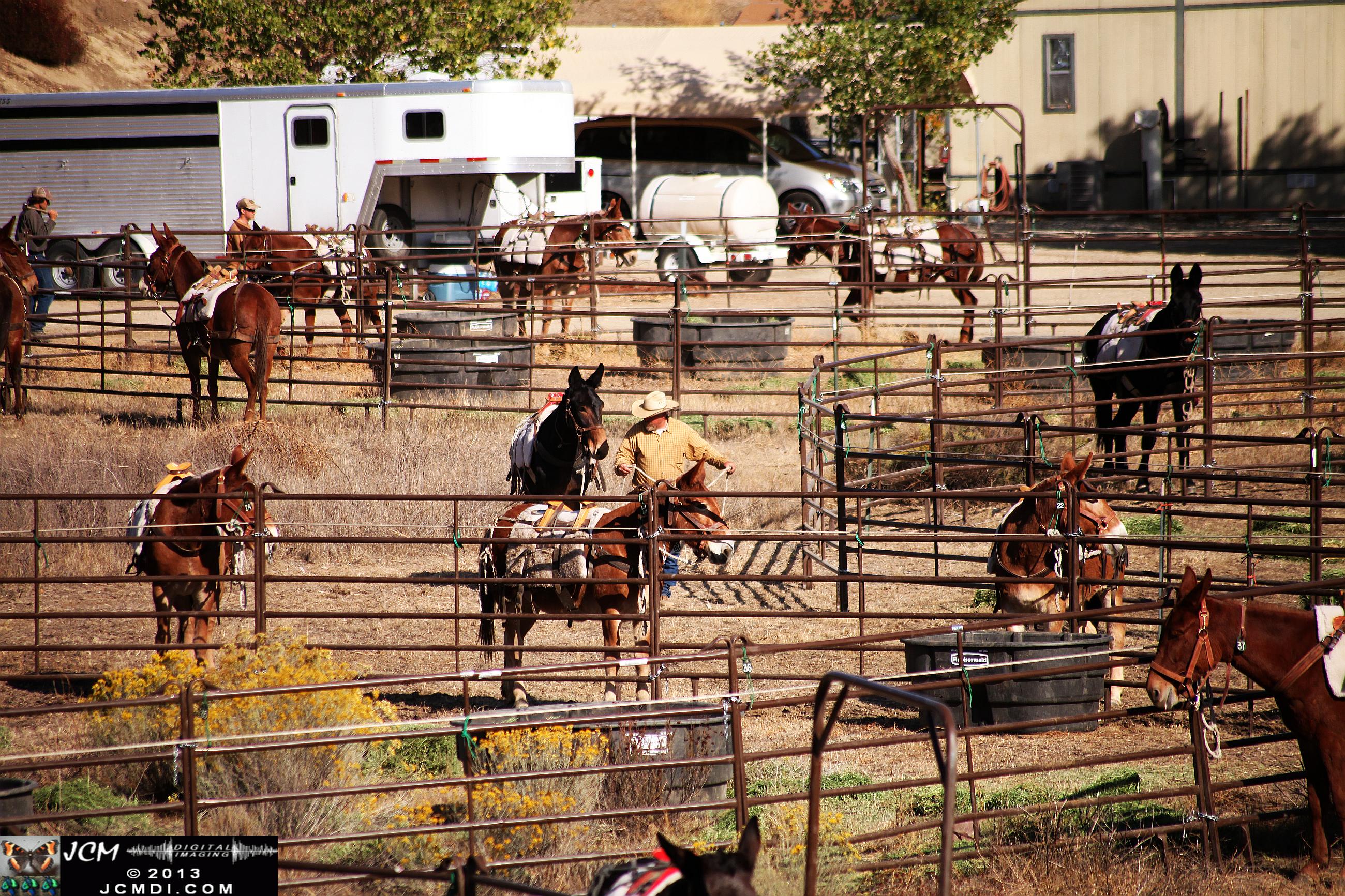 100 Mule Team at Whitney Canyon